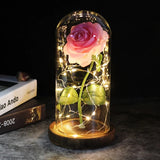 Rose éternelle LED