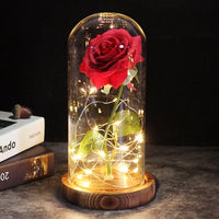 Rose Eternelle Cloche de Verre à LED